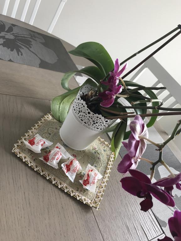 Bangu Apartamentai Palanga Esterno foto